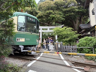 IMG_5302.jpeg